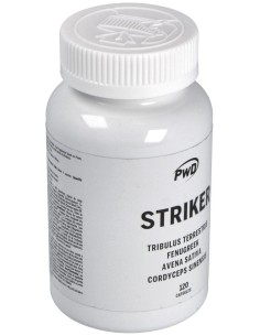 Striker 120Cap. 2