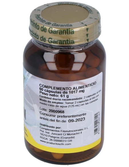 Msm 1000 Metilsulfonilmetano 60Cap.